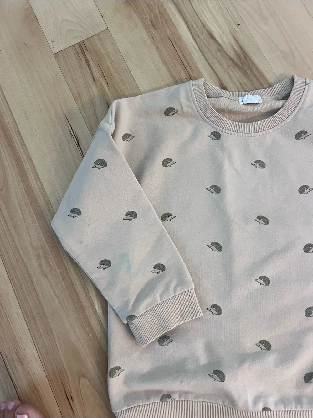 Jamie Kay Beige Sweatshirt & Jogger Set with Gray      Hedgehog Print